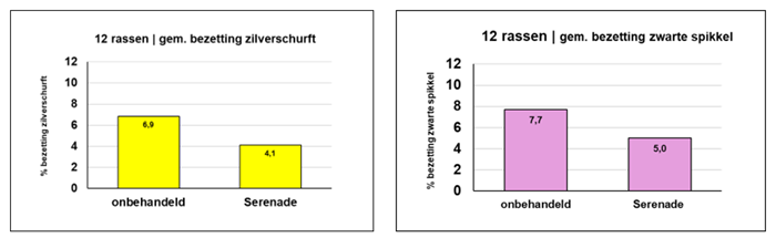Serenade schilkwaliteit 1.png